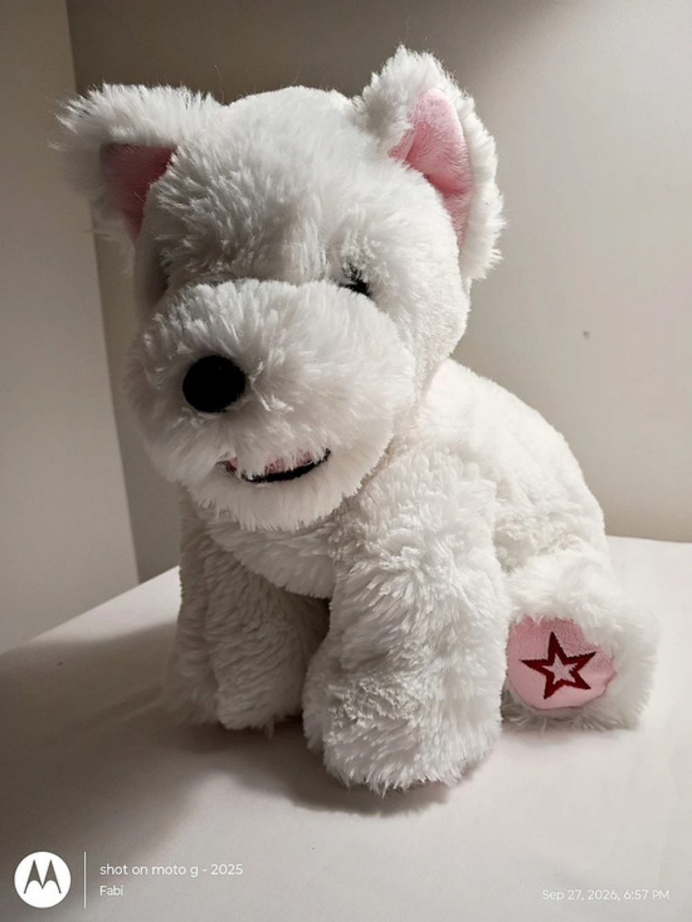 Retired 2022 Coconut Chip Dog Plush is an American Girl